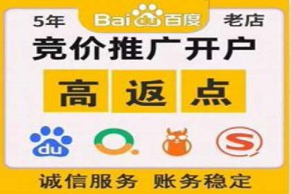 SEM营销案例：电商平台的流量密码